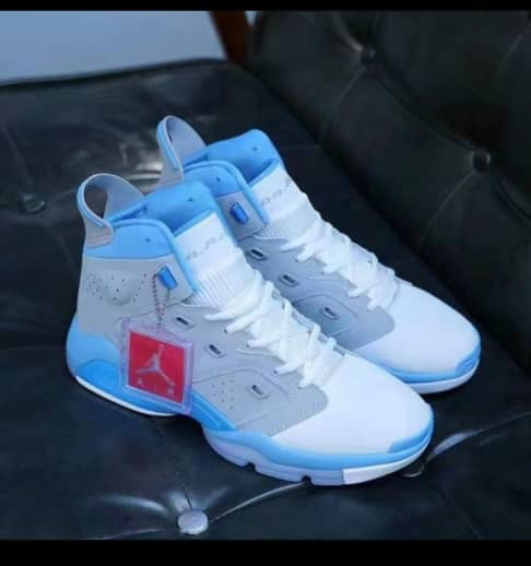 Jordan 6 MVP