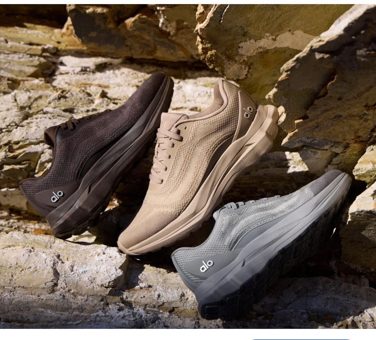 Alo alo